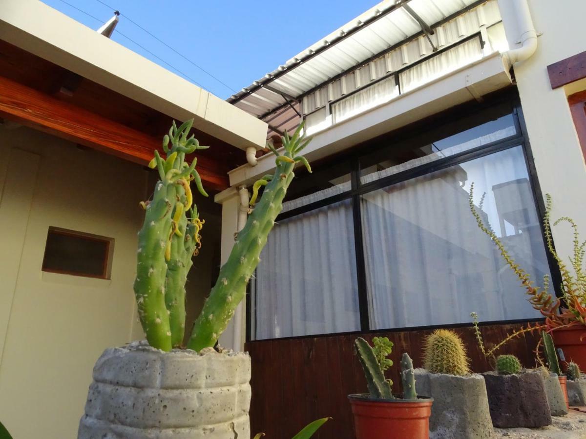 Casa Cactus Cafayate Hotel Kültér fotó